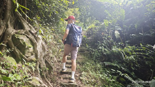 20251109 士林站到大湖站(福山宮_腰繞_燕溪古道_翠山步道_龍船岩_大溝溪)2932338