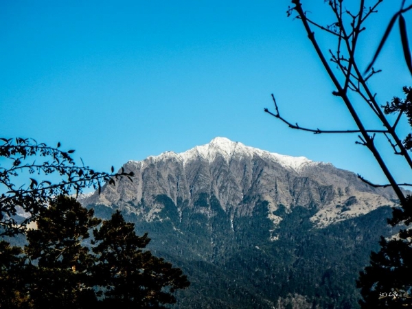 三月雪的南湖大山24017