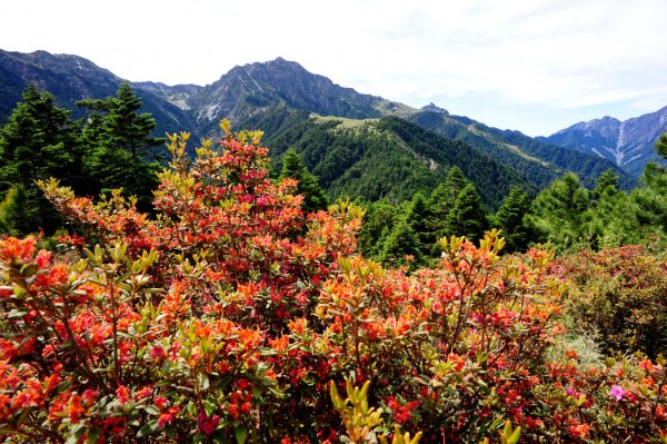 【台中】審馬陣山