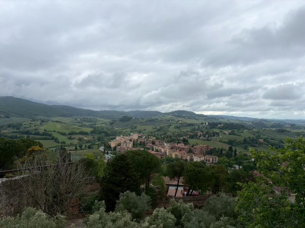 Via Francigena D1: San Gimignano-Colle di Val d’El3072649