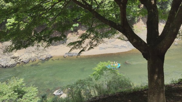 嵐山水之篇：保津峡遊船3088805