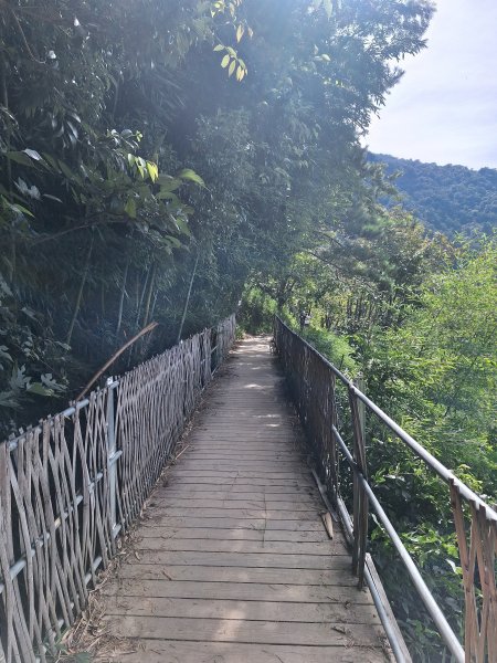 司馬庫斯神木步道順遊司立富瀑布11508023116728