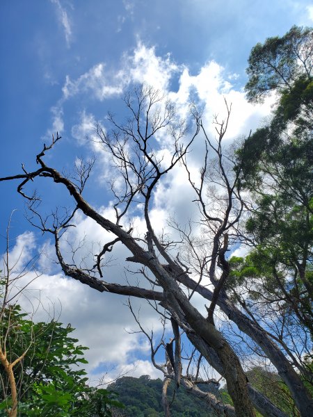 【台中 | 小百岳 聚興山】1108538