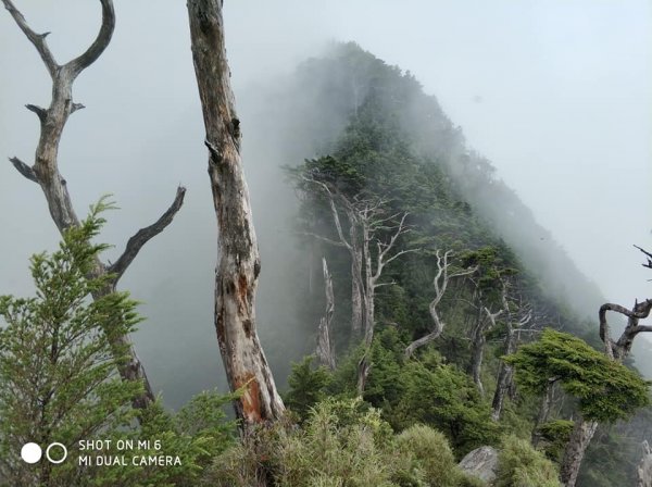 2018老公的生日禮物446794