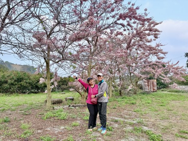 楠西悠遊(鹿陶洋.爐芝潭山)  2026.3.263027449