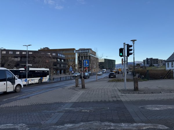 [紐約馬之行-22] 2025_1104 哈帕音樂廳(Harpa)2946662