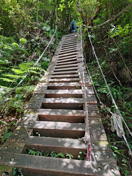 獅仔頭山-小百岳#20-新北市新店區2248478