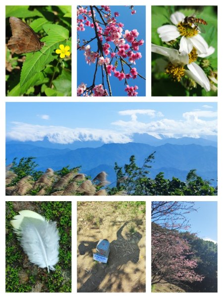 新嶺山步道-大湖頂山-大棟山-鶯歌大榕樹-福源山步道2990684