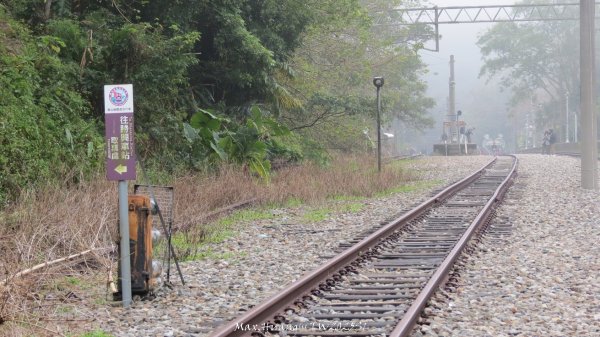 《苗栗》台鐵舊山線｜三義勝興鐵道覓境及挑柴古道O繞202501192693552
