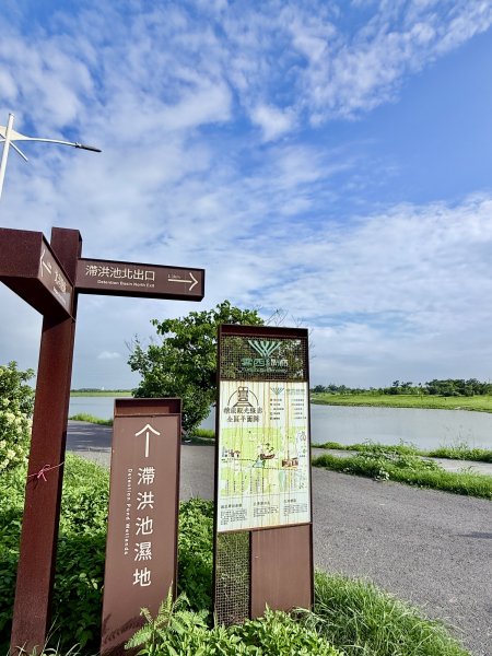 雲林平地基石巡禮     2026.5.193057744