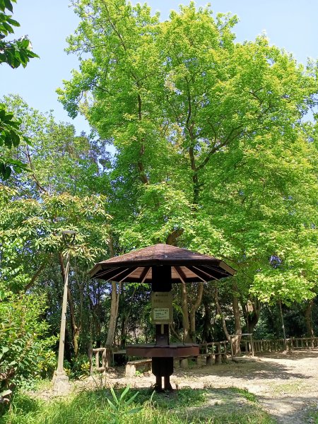 象獅豹虎-四獸山探秘之虎山秘境（2-2 無極瑤池宮→松山慈惠堂停車場出入口）2066049