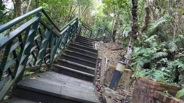 和美山登山健行趣（郊山）1587726