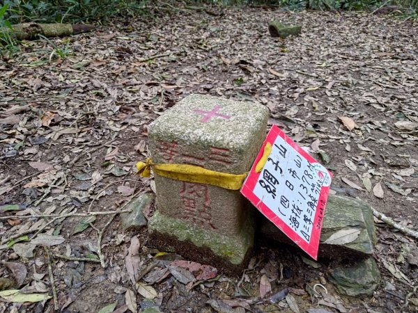 鳴海山、龍頭山步道2157060