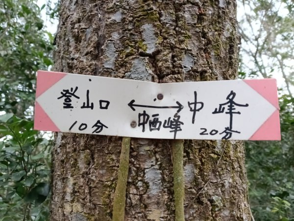 寶山鄉寶山水庫(寶山東峰+中峰+中西峰+西峰+西北峰)+尖山O型3012543