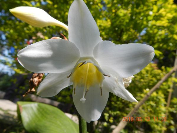 土城天上山五城山將軍嶺綠野香坡社區285779