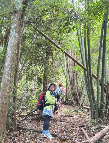 阿里眉山+大舌滿山（路跡不明/未竟 ）2866342
