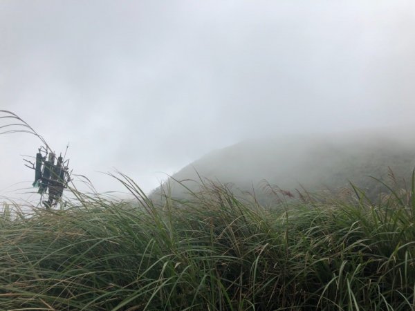 七星山主東峰20181115461007