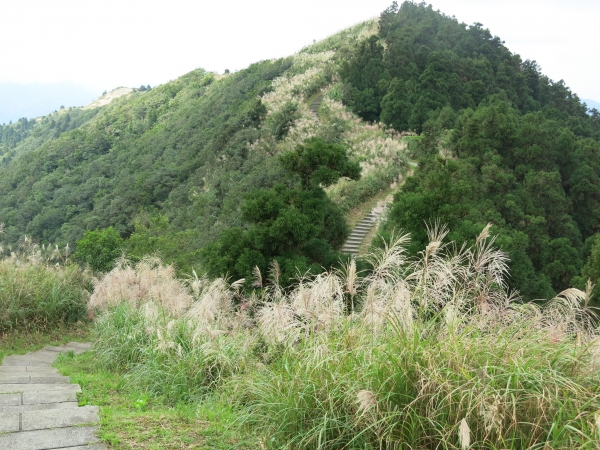 五分山萬里長城步道54731