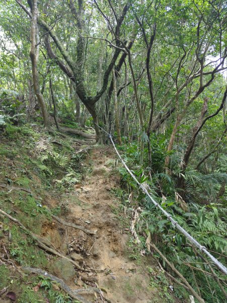 2026.03.14－微笑山線：【五分山系】3015448