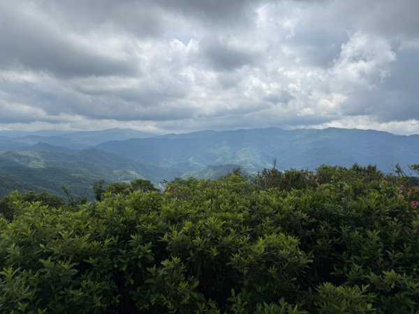 20250518 玉桂嶺山 》司公髻尾山 》九芎坑山》 豬厝步道口  （ 大坪產道）2791943