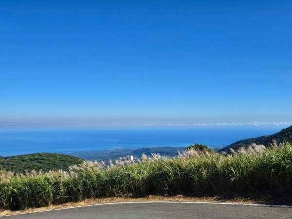 大屯主峰-連峰步道環形（小百岳）2904319