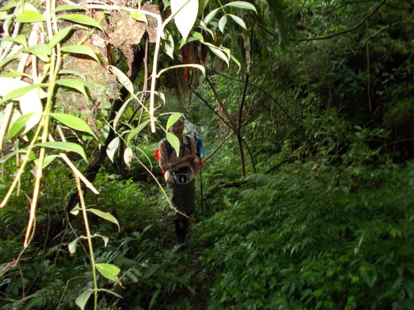 蕃社坑山連走鳳紗山隘勇線1107137