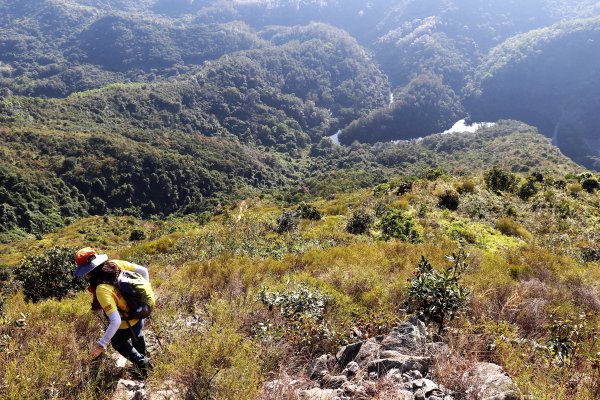 HK - 白燕岩1661233