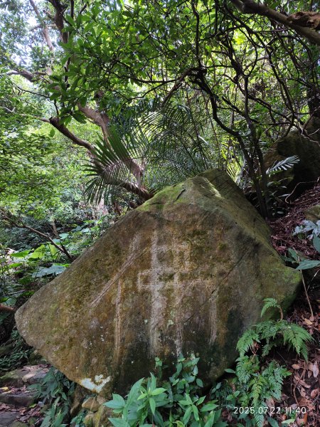 天母古道、西門町、艋舺青山宮、剝皮寮、龍山寺2844583