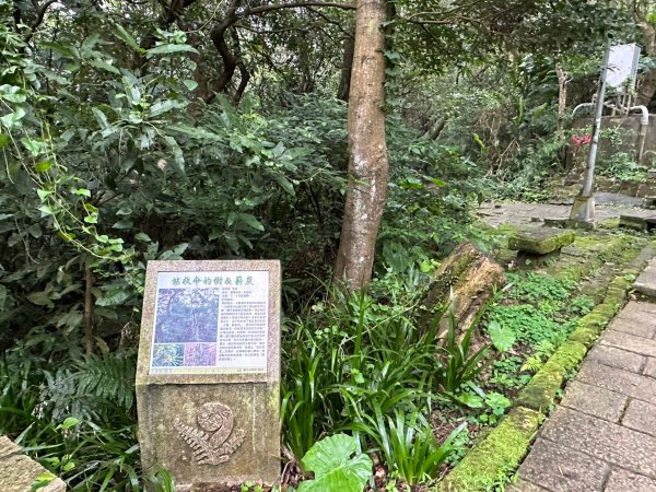 細雨中遠眺101登南港山2043820