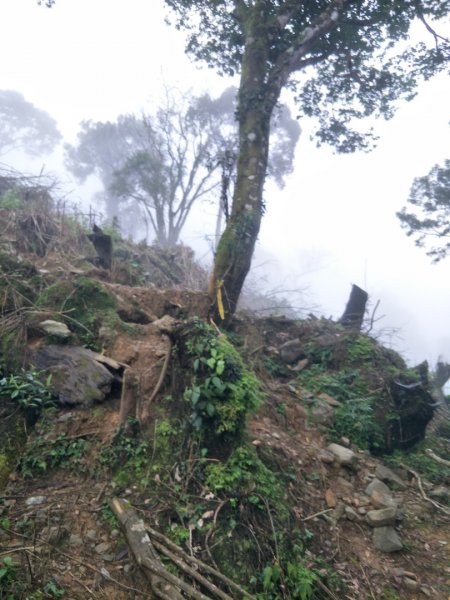 小百岳:初音山1609922