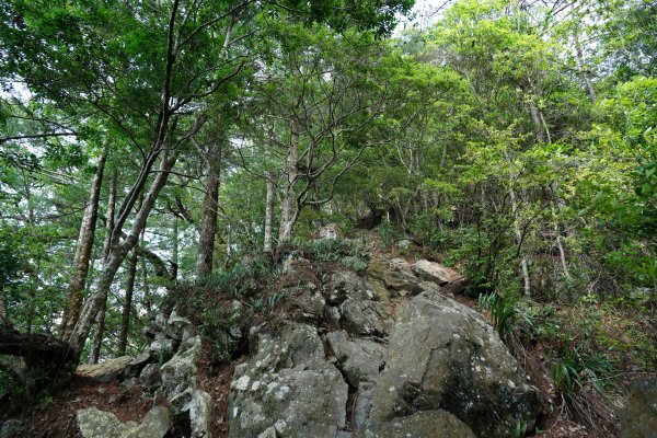 台中 和平 馬崙山2796988