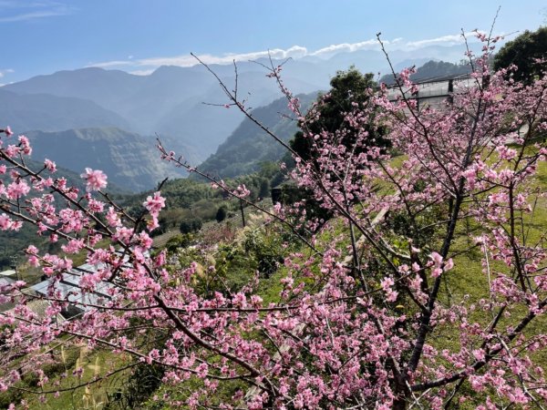 隙頂步道-大凍山1578454