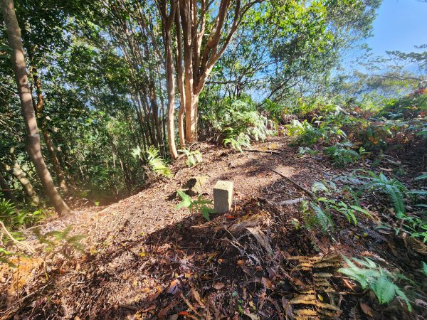 20251214石牛山柑坪山新柑坪山牛背岩2972740