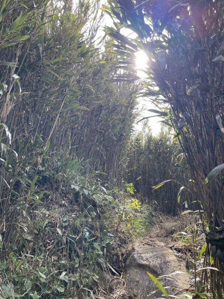 小觀音山清玉線2756594