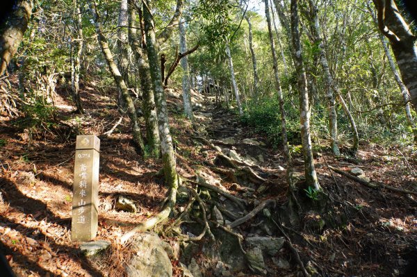 台中 和平 鳶嘴山2926849