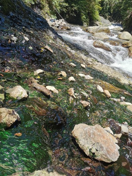 嘎拉賀野溪溫泉-大自然的SPA溫泉瀑布1043423