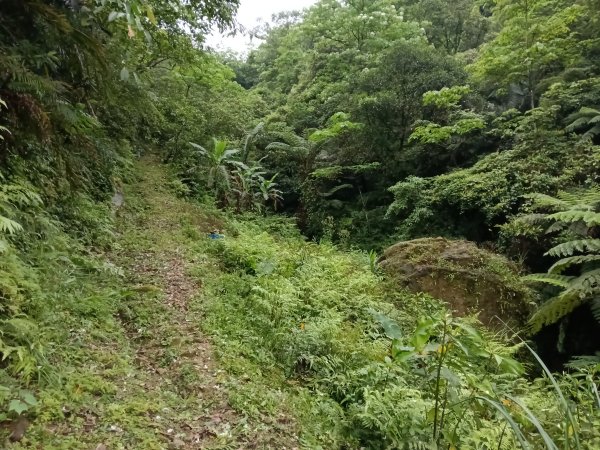 雙溪區平水+外柑腳山去回2784063