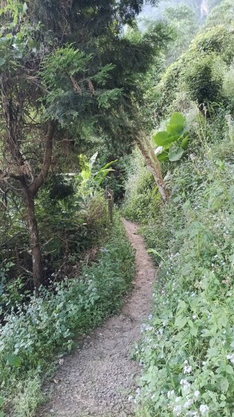 20251004 馬那邦山 - 珠湖 登山口2904787