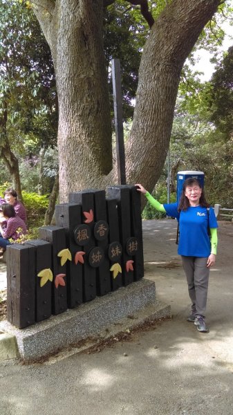 滿眼翠綠的半嶺步道、橫嶺古道、紗帽山步道883218