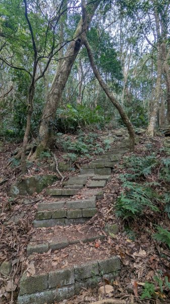 橫龍山、橫龍古道2682927