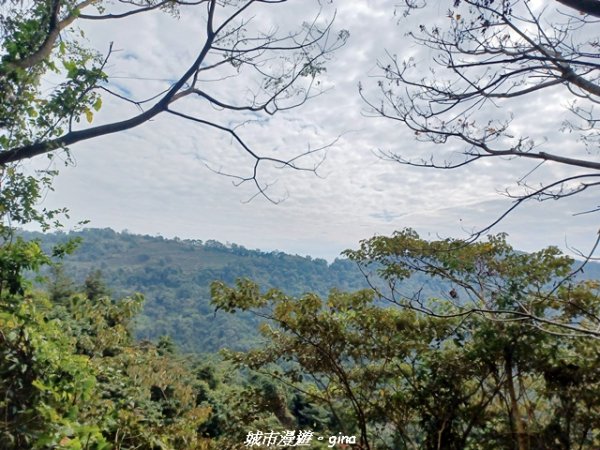 【南投國姓】九份二山x九份二山國家地震紀念地x九號梅莊2981691