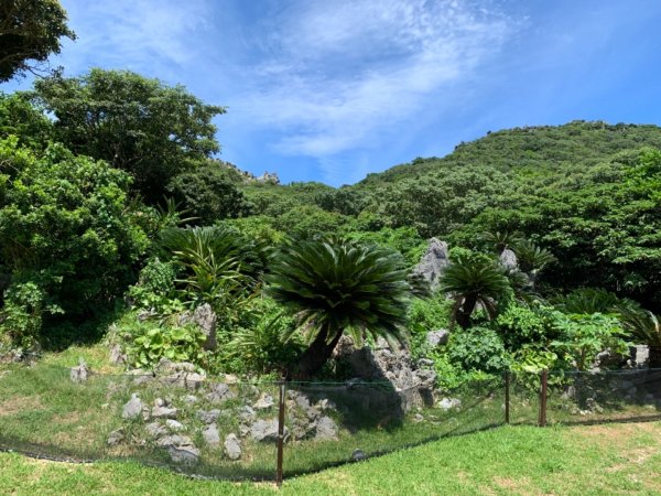 大石林山672530