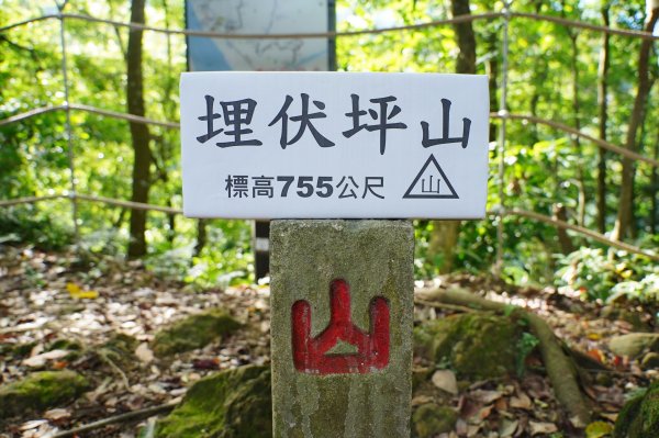 台中 和平 埋伏坪山