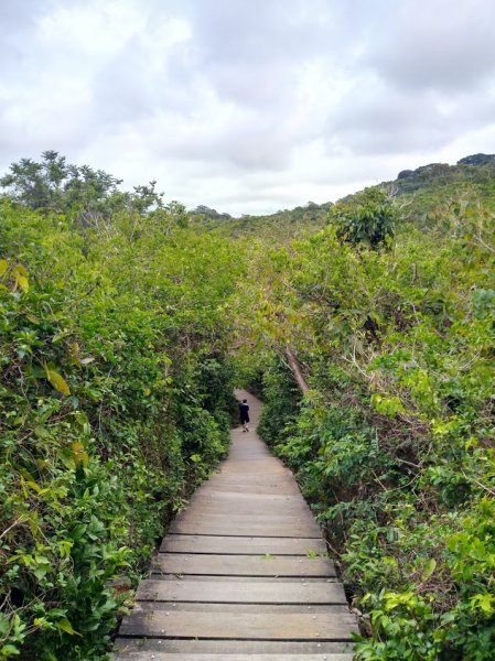 北三角點 泰國谷 觀海岩 一簾幽夢 龍谷964015