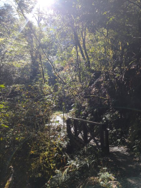 2026.01.03－鎮西堡B區神木群2981143