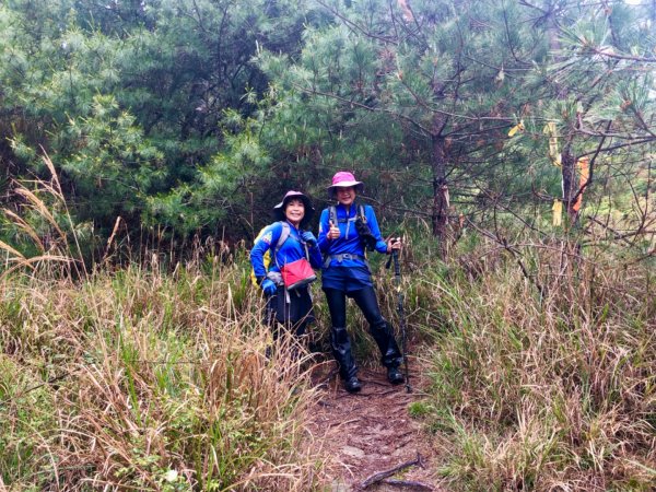 再訪卯木山、合歡越嶺古道與關原駐在所1735397