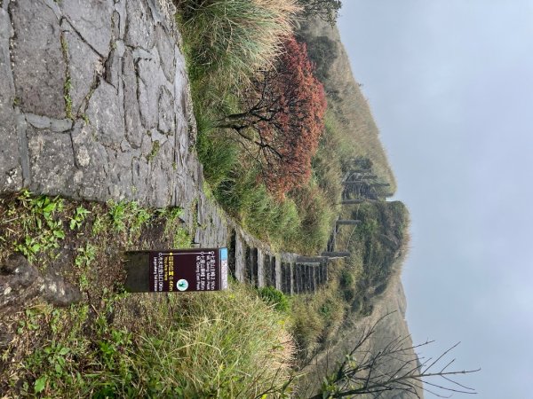 台北大縱走第三段風櫃嘴到小油坑2754495