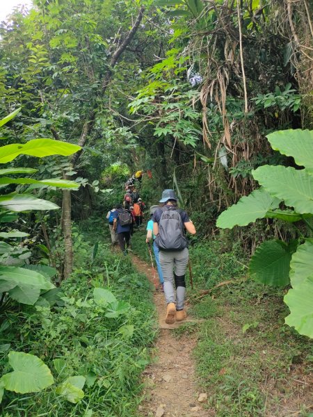 ［圓通寺烘爐地環山步道連走］（外挖子山,光明頂,南勢角山,青春嶺,國旗嶺）（2023/8/9）2245022