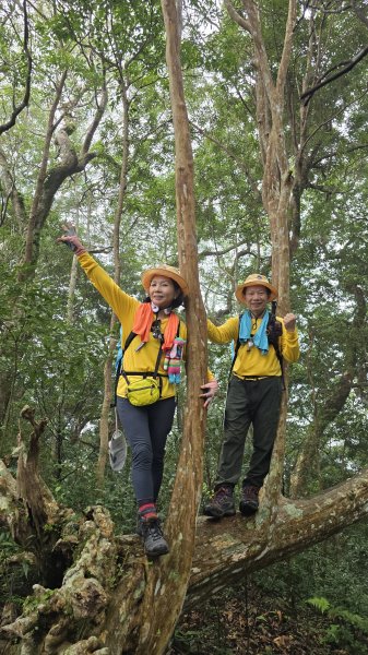 解鎖山頂鳥百山百鳥滿月園任務，滿月圓森林遊樂區是台北近郊瀑布最多的森林遊樂區，夏季首選，涼爽舒服2866674