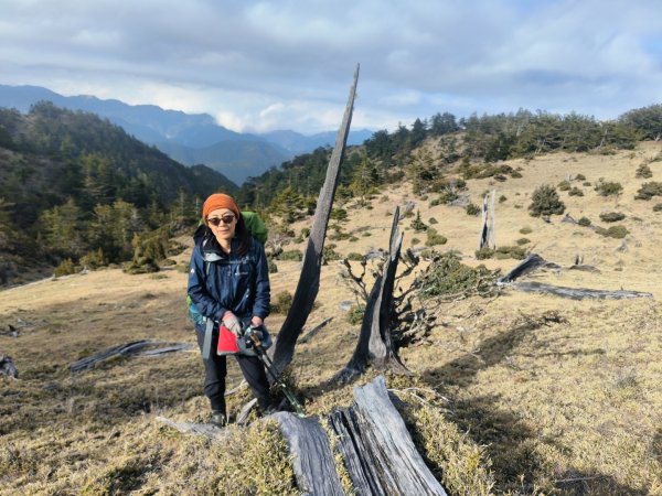 20240320 馬博8天縱走~第五天，馬里亞文路山，馬利加南山2471232